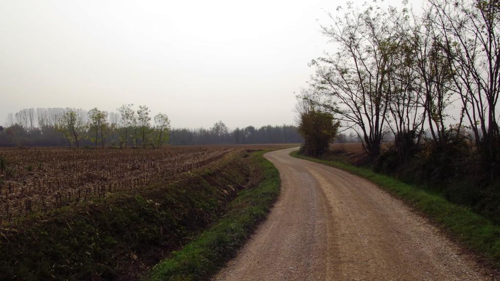 Bassa Friuli road and fields